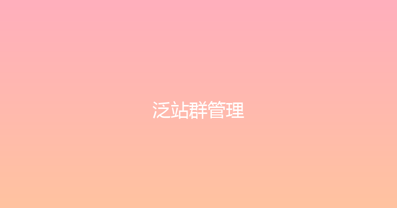 泛站群管理 封面图