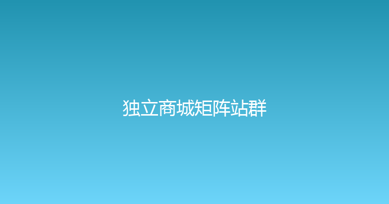 独立商城矩阵站群 封面图