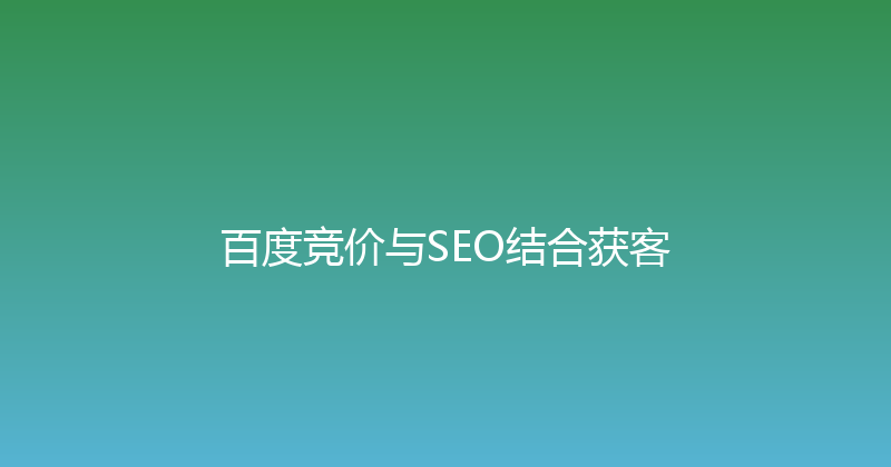 百度竞价与SEO结合获客 封面图