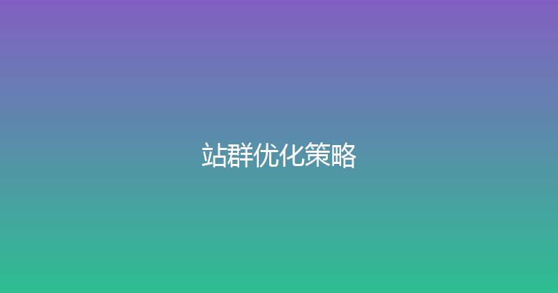 站群优化策略 封面图