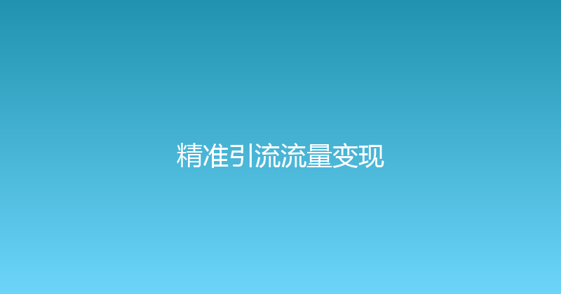 精准引流流量变现 封面图